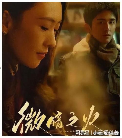 电视剧 追,揭秘命运交织的悬疑之旅